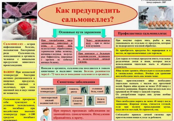 ПАМЯТКА&amp;quot;КАК ПРЕДУПРЕДИТЬ САЛЬМОНЕЛЛЕЗ?&amp;quot;.